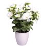 Fiore artificiale Azalea FRALVI in vaso decorativo, bianco, 26 cm