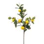 Ramo artificiale di limoni QUEOSHA con frutti, giallo, 95 cm