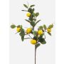 Ramo artificiale di limoni QUEOSHA con frutti, giallo, 95 cm