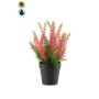 Erica artificiale ELSAWO in vaso decorativo, crossdoor, rosa, 30 cm