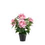 Ortensia artificiale DORJA in vaso decorativo, rosa, 40 cm
