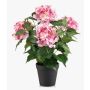 Ortensia artificiale DORJA in vaso decorativo, rosa, 40 cm