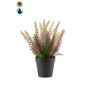 Erica artificiale ELSAWO in vaso decorativo, crossdoor, viola, 30 cm