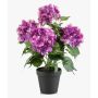 Ortensia artificiale DORJA in vaso decorativo, viola, 40 cm
