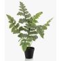 Felce artificiale Felce dorata EYMEN in vaso decorativo, verde, 60 cm
