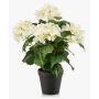 Ortensia artificiale DORJA in vaso decorativo, bianco-verde, 40 cm