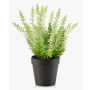 Erica artificiale ELSAWO in vaso decorativo, crossdoor, bianco-verde, 30 cm