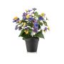 Pansie artificiali NORHA in vaso decorativo, giallo-blu-lilla, 30 cm