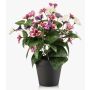 Pansie artificiali NORHA in vaso decorativo, rosa-lilla-bianco, 30 cm