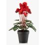 Ciclamini artificiali VERIANA in vaso decorativo, rossi, 30 cm