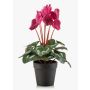 Ciclamini artificiali VERIANA in vaso decorativo, rosa, 30 cm