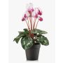 Ciclamini artificiali VERIANA in vaso decorativo, bianco-rosa, 30 cm