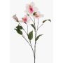 Ramo decorativo Ibisco TRUGEN con fiori, bianco-rosa, 85 cm
