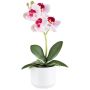 Orchidea Phalaenopsis in tessuto WERKAN, vaso in ceramica, radici, bianco-rosa, 27 cm