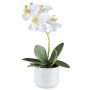 Orchidea Phalaenopsis in tessuto WERKAN, vaso in ceramica, radici, bianco, 27 cm