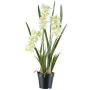 Fiore decorativo orchidea cymbidium KLORVEN, radici, bianco-verde, 80 cm