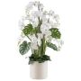 Composizione floreale artificiale orchidea filodendro CASTOL, sansevieria mikado, vaso decorativo, bianco, 140 cm