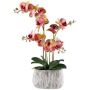 Orchidea Phalaenopsis artificiale BLORVEN, vaso in cemento, radici, giallo-rosa, 55 cm