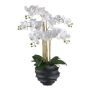 Orchidea Phalaenopsis artificiale STONFER, vaso decorativo nero, radici, bianco, 70 cm