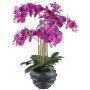 Orchidea Phalaenopsis artificiale STONFER, vaso decorativo nero, radici, viola, 70 cm