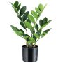 Pianta artificiale Zamioculcas BLUHAR, 35 cm