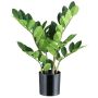 Pianta artificiale Zamioculcas BLUHAR, 45 cm