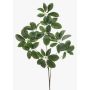 Ramo decorativo Schefflera PARVANEH, verde, 110 cm