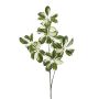 Ramo decorativo Schefflera PARVANEH, verde-bianco, 110 cm