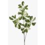 Ramo decorativo Schefflera PARVANEH, verde-bianco, 110 cm