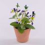 Fiore artificiale decorativo viola BAHNY in vaso terracotta, viola-bianco, 17 cm