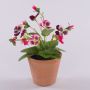 Fiore artificiale decorativo Pansy BAHNY in vaso terracotta, rosa-bianco, 17 cm