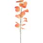 Ramo decorativo di pioppo nero SOLVEN, arancione, 120 cm