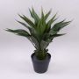 Agave artificiale BERIC, verde, 60cm