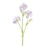 Ramo decorativo iris KLAVO, lilla, 80 cm