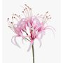 Amaryllis da giardino artificiale NANFAJI, rosa, 65 cm