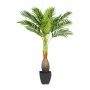 Palma artificiale Flaschenpalme VANIA in vaso decorativo, 100 cm