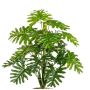Pianta artificiale Philodendron Selloum PRINO, bastoncino, 50 cm