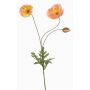 Ramo decorativo papavero SCHUNRA, pesca, 75 cm