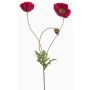 Ramo decorativo di papavero SCHUNRA, fucsia, 75 cm