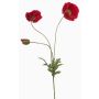 Ramo decorativo di papavero SCHUNRA, rosso, 75 cm