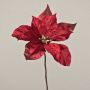Poinsettia di velluto SHEBA, rosso, 55cm, Ø23cm