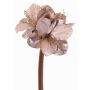 Amaryllis di velluto KIRSTY, lilla chiaro, 70cm, Ø13-15cm