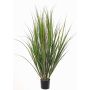 Erba di canna da zucchero artificiale SITHAMI, zona trasversale, verde, 95cm