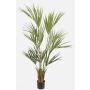 Palma Kentia artificiale PAIGE, 155cm
