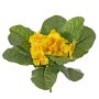 Primula artificiale SUNDARA su stelo, giallo, 20cm, Ø4cm
