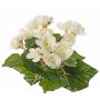 Begonia artificiale BIRMA su stelo, crema, 20cm, Ø3-5cm