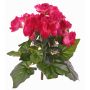 Begonia artificiale BIRMA su stelo, fucsia, 20cm, Ø3-5cm