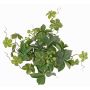 Cespuglio di vite artificiale AMYCUS su stelo, frutti, verde, 35cm