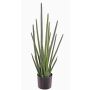 Sansevieria cylindrica artificiale ASTARIA, verde, 95cm
