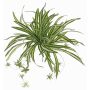 Giglio verde artificiale DEMIAN su stelo, verde-bianco, 50cm